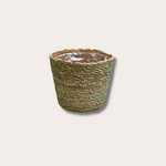 Mand - Livia - riet/groen