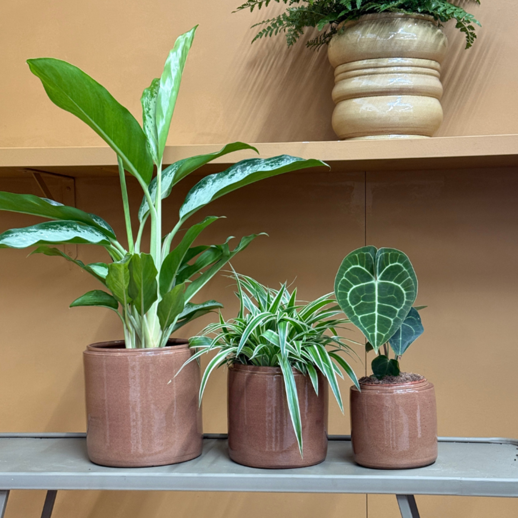 Pot - Sweden - Bruin