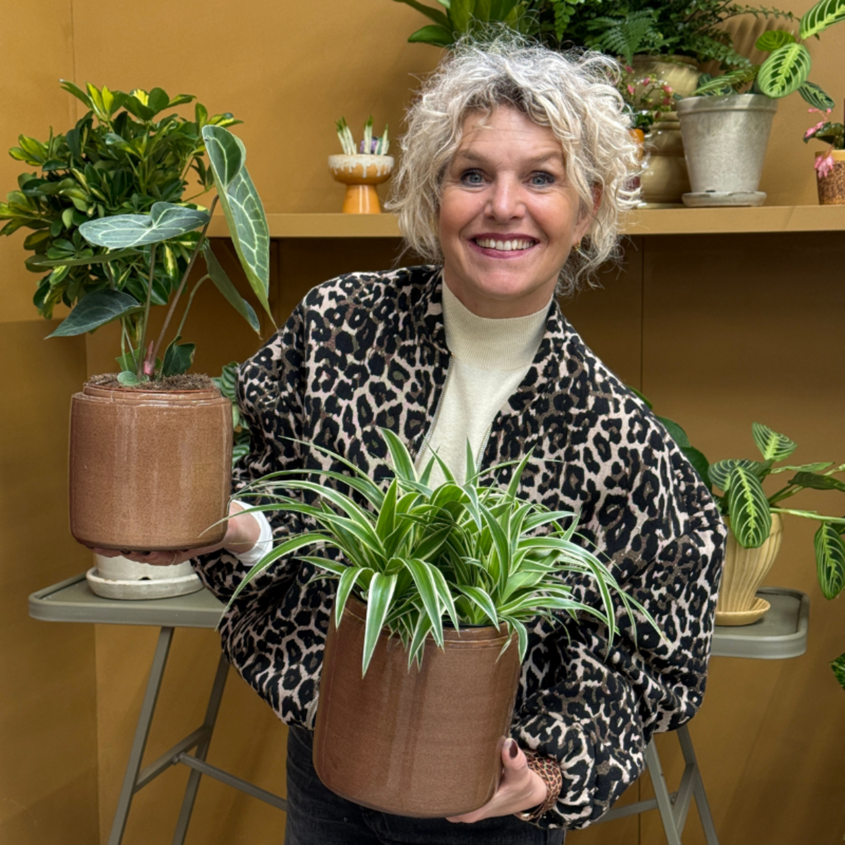 Pot - Sweden - Bruin