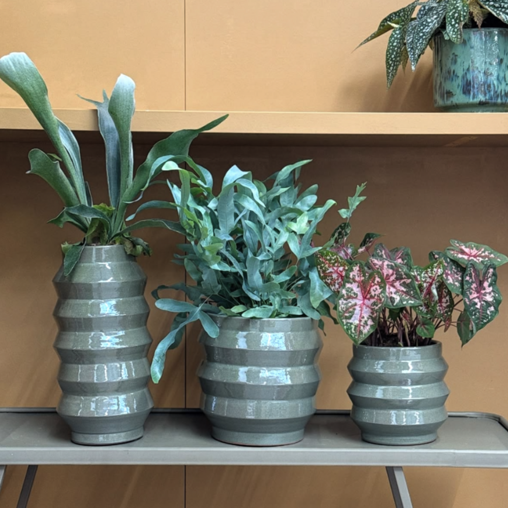 Pot - Bloomvibe - Metallic groen