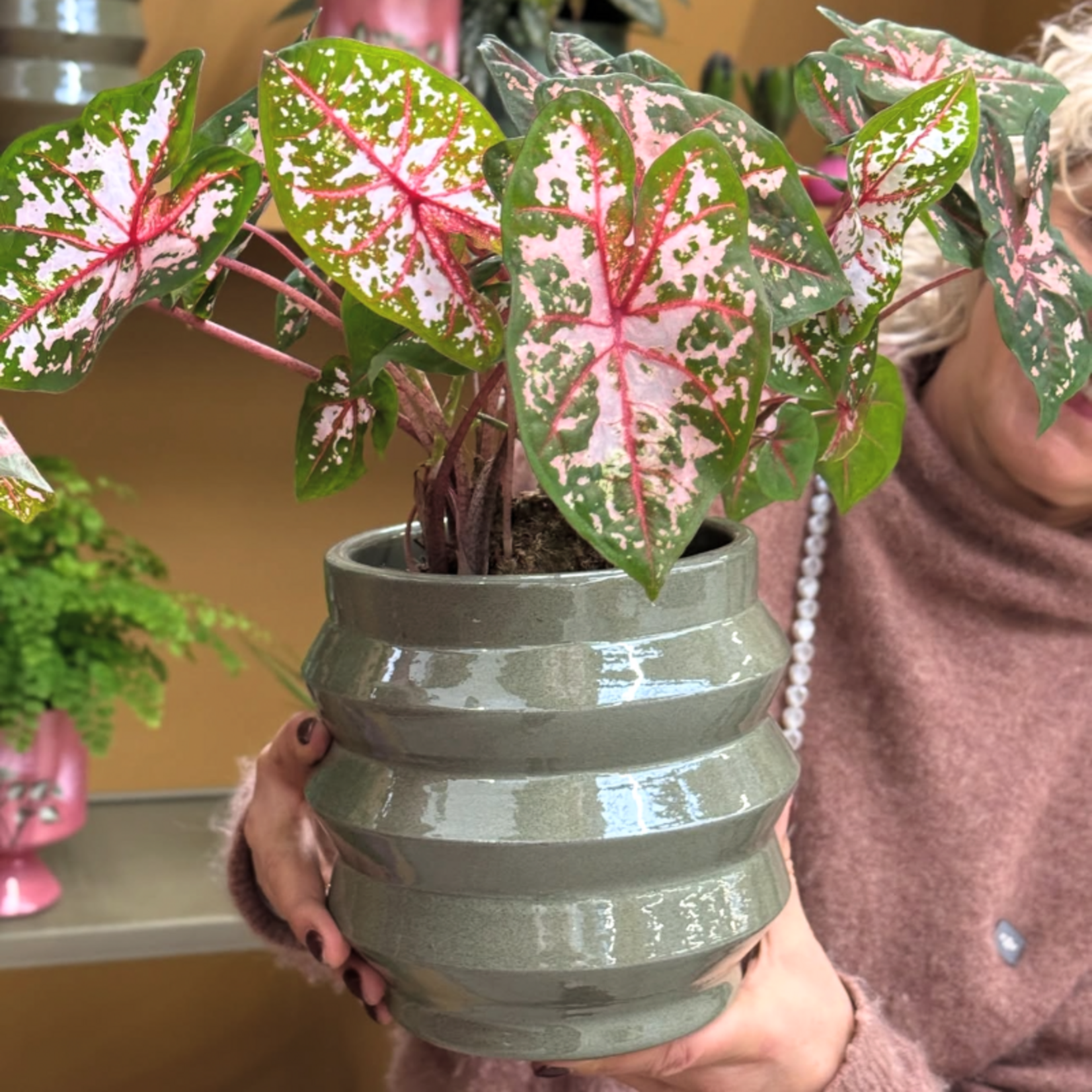 Pot - Bloomvibe - Metallic groen