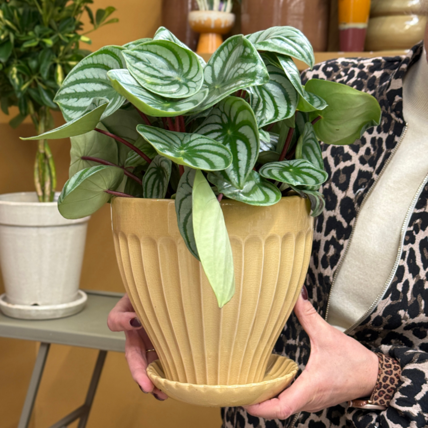 Pot - Anna - Butter yellow