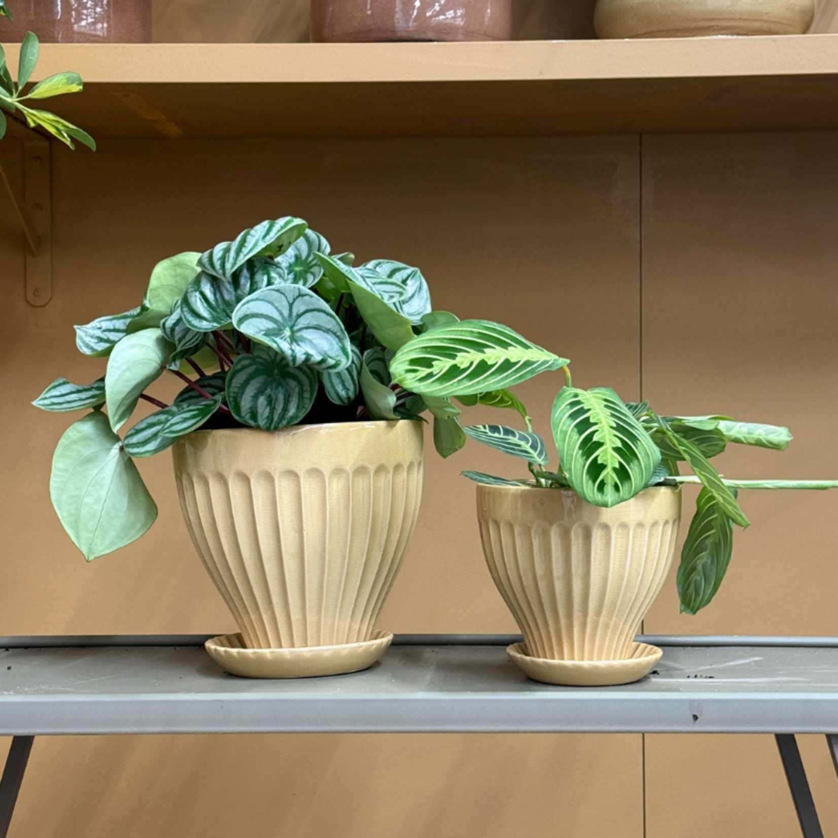 Pot - Anna - Butter yellow