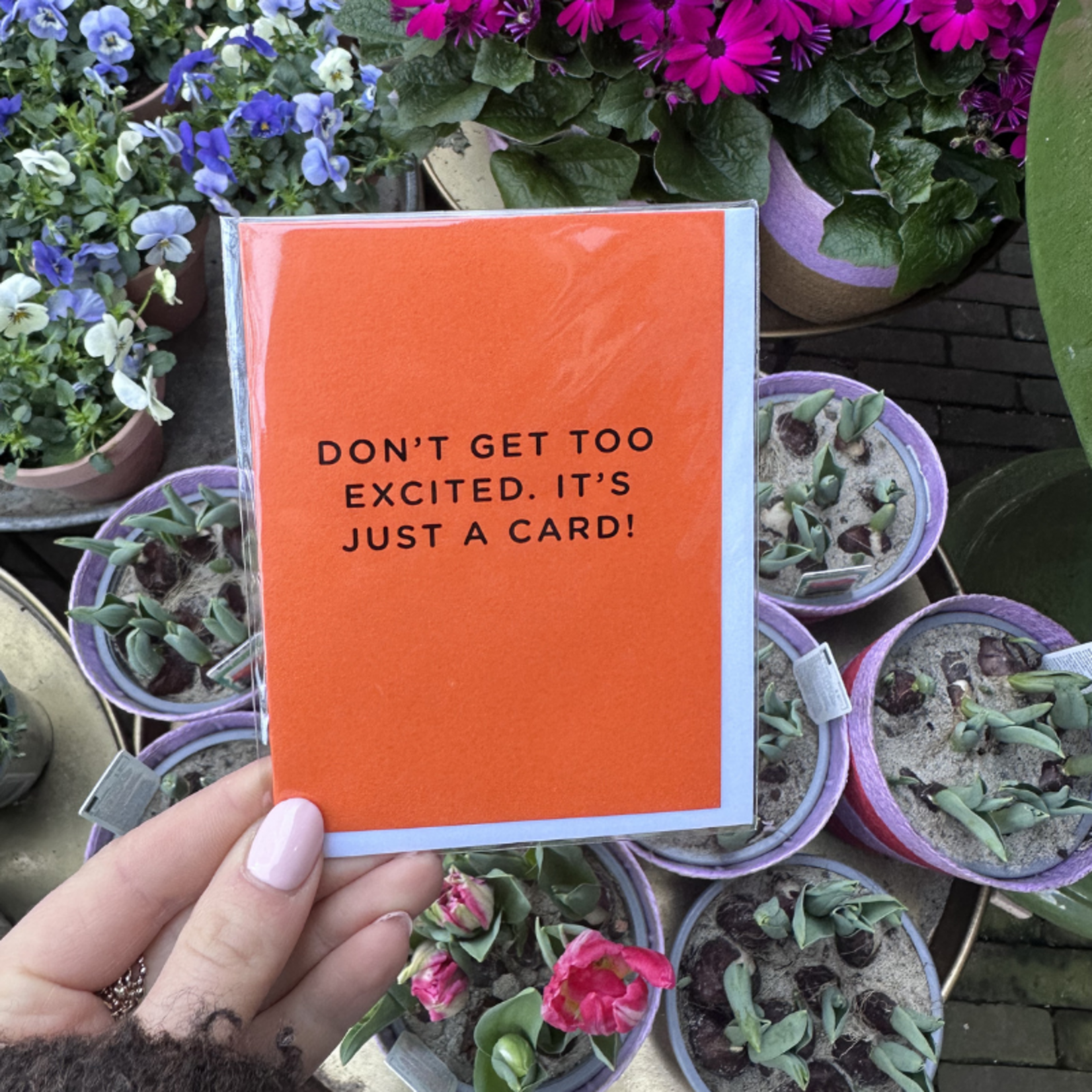 Kaart - Don't get too excited