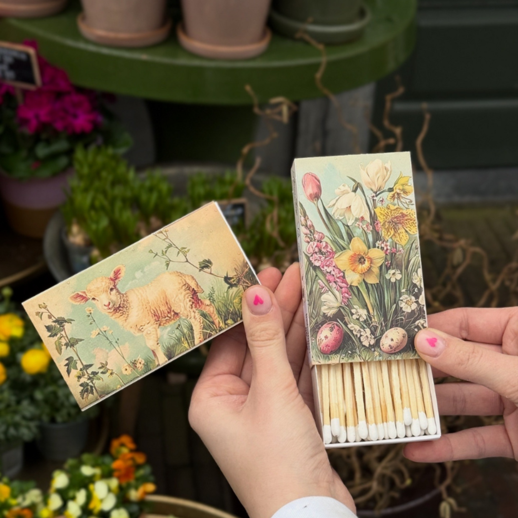 Luciferdoosje - Lammetje Lente