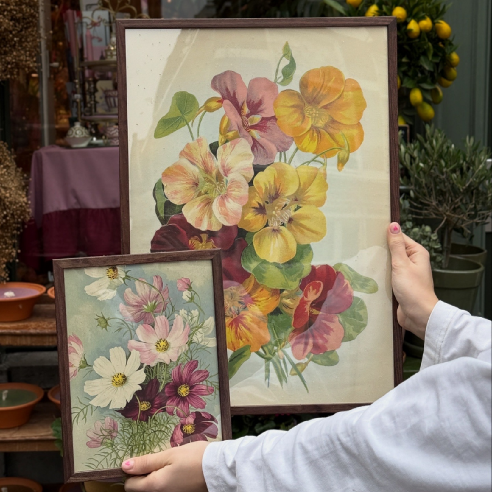 Houten Lijst - Walnoot - M