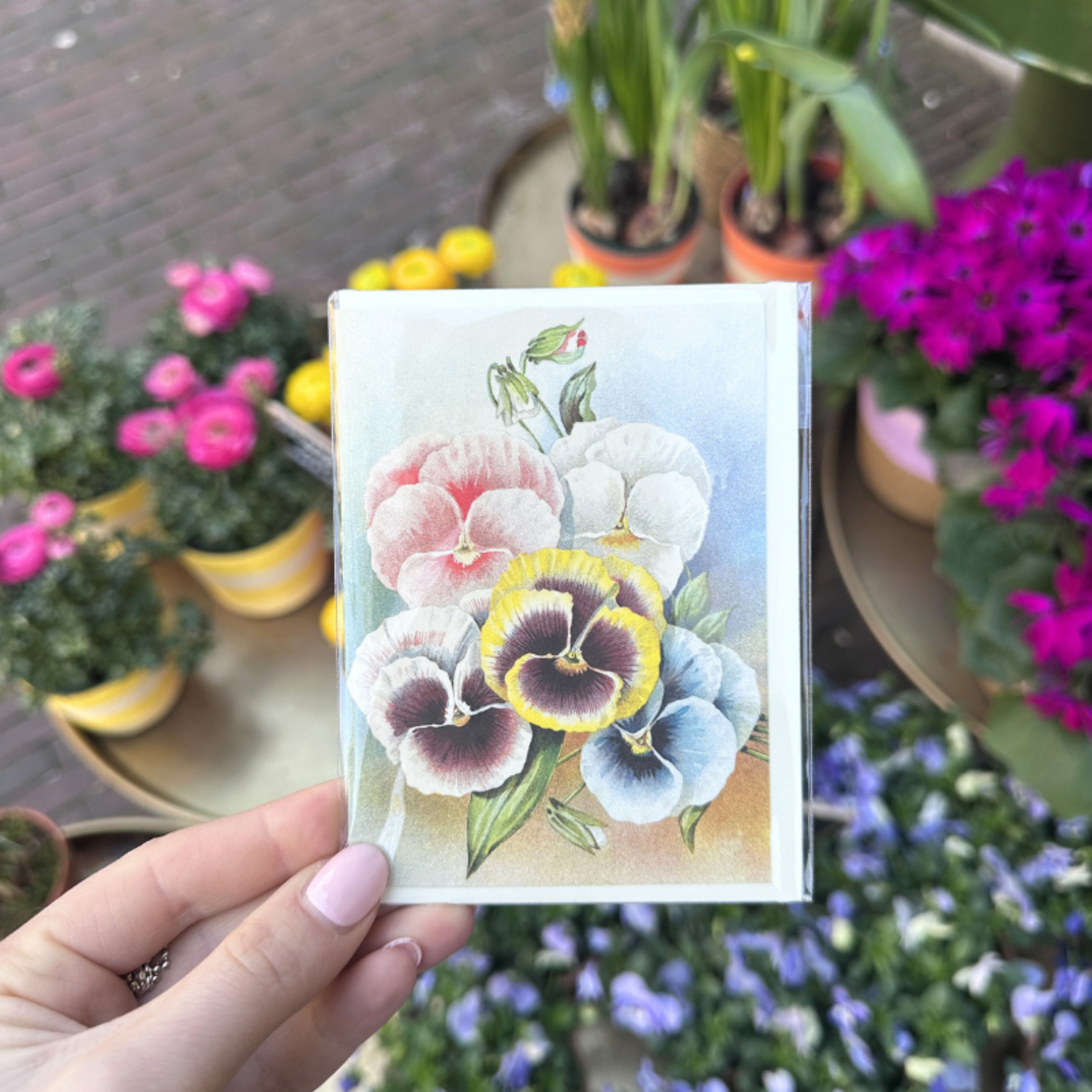 Wenskaart - Viooltje - Pastel