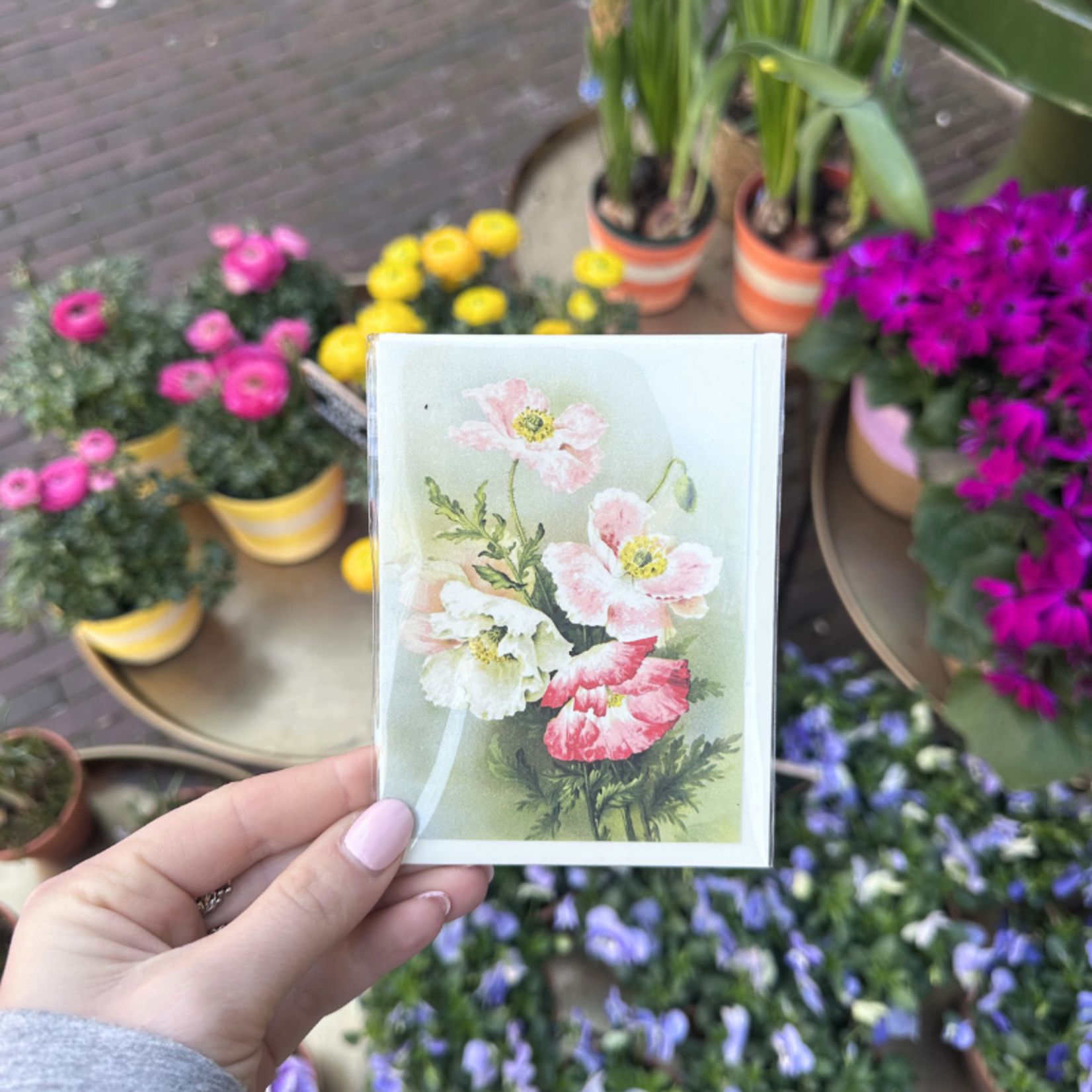 Wenskaart - Klaproos