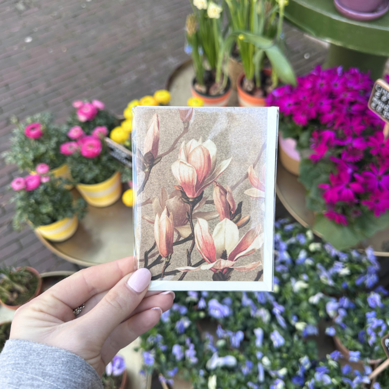 Wenskaart - Magnolia