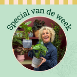 Groene Vingers Special van de week