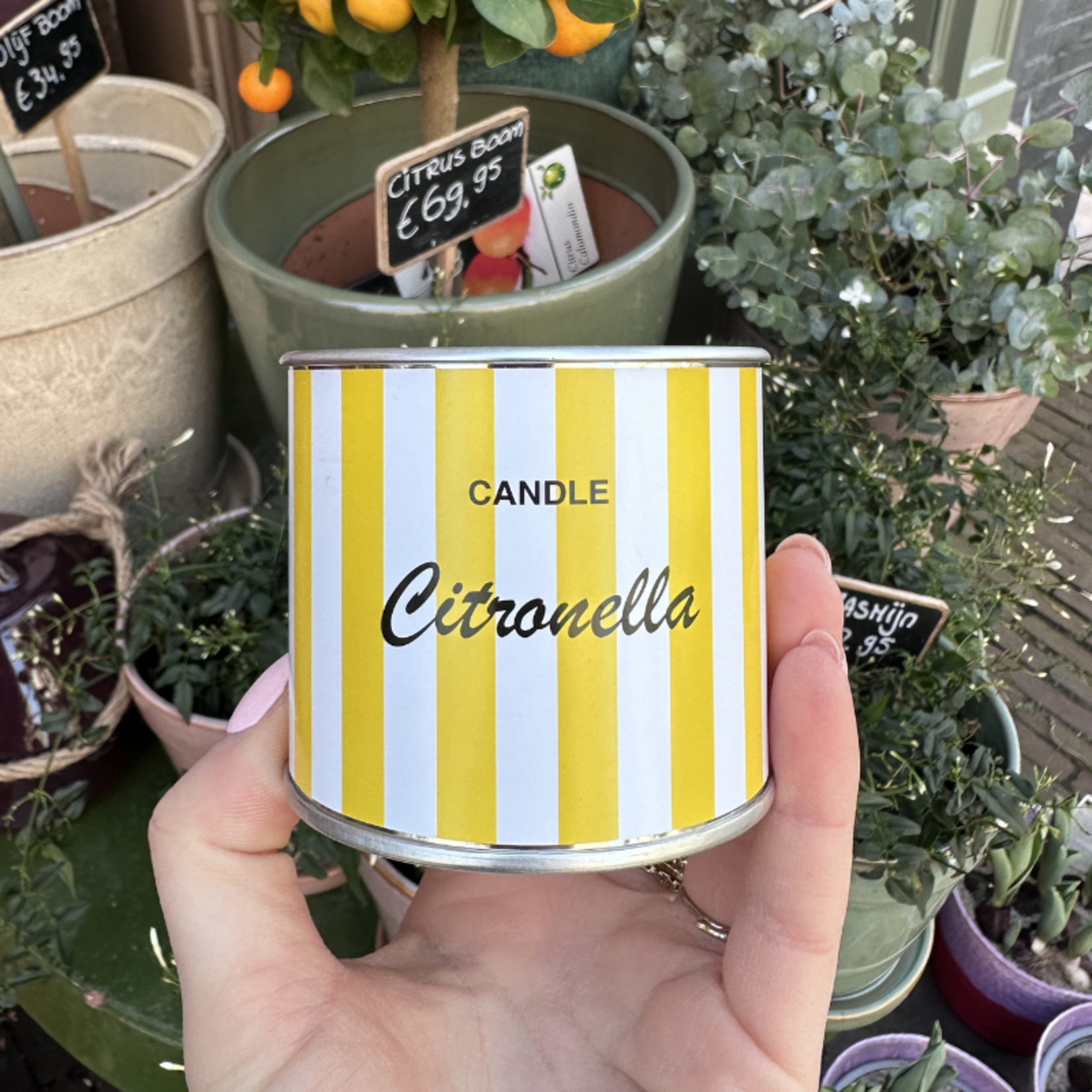 Citronella Geurkaars - Streep - Geel/wit