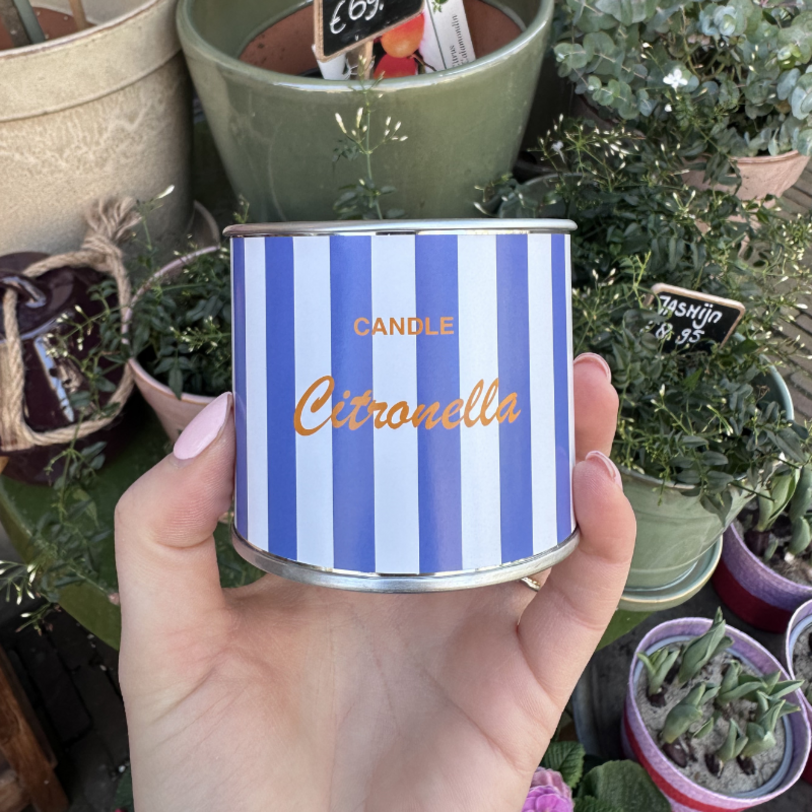Citronella Geurkaars - Streep - Blauw/wit