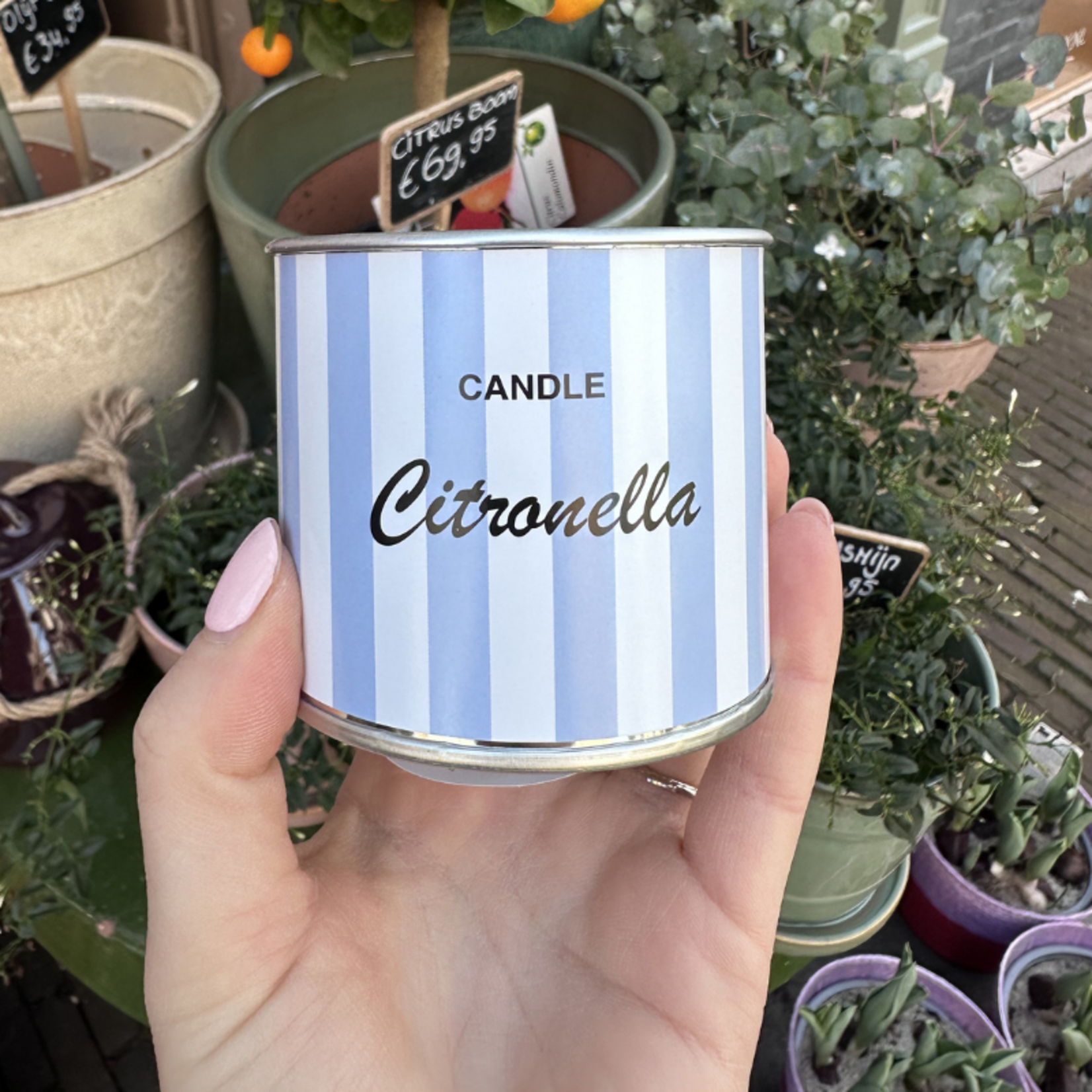 Citronella Geurkaars - Streep - Lichtblauw/wit