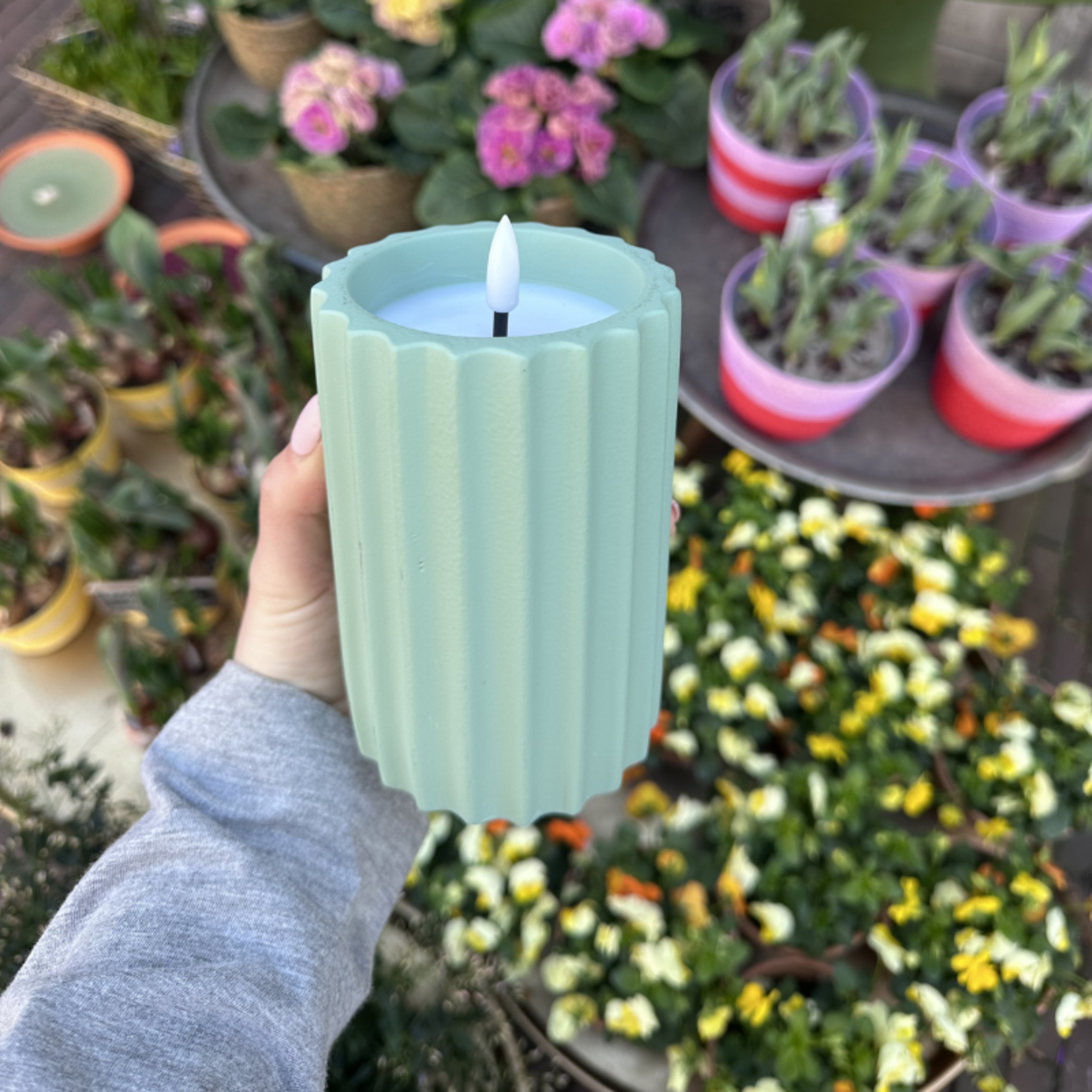 Ledkaars - Mintgroen - M
