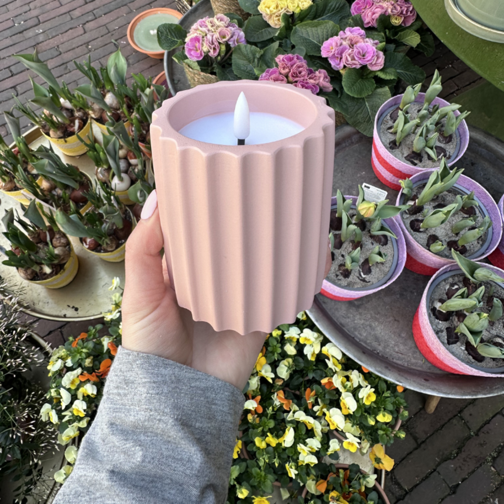 Ledkaars - Lichtroze - S