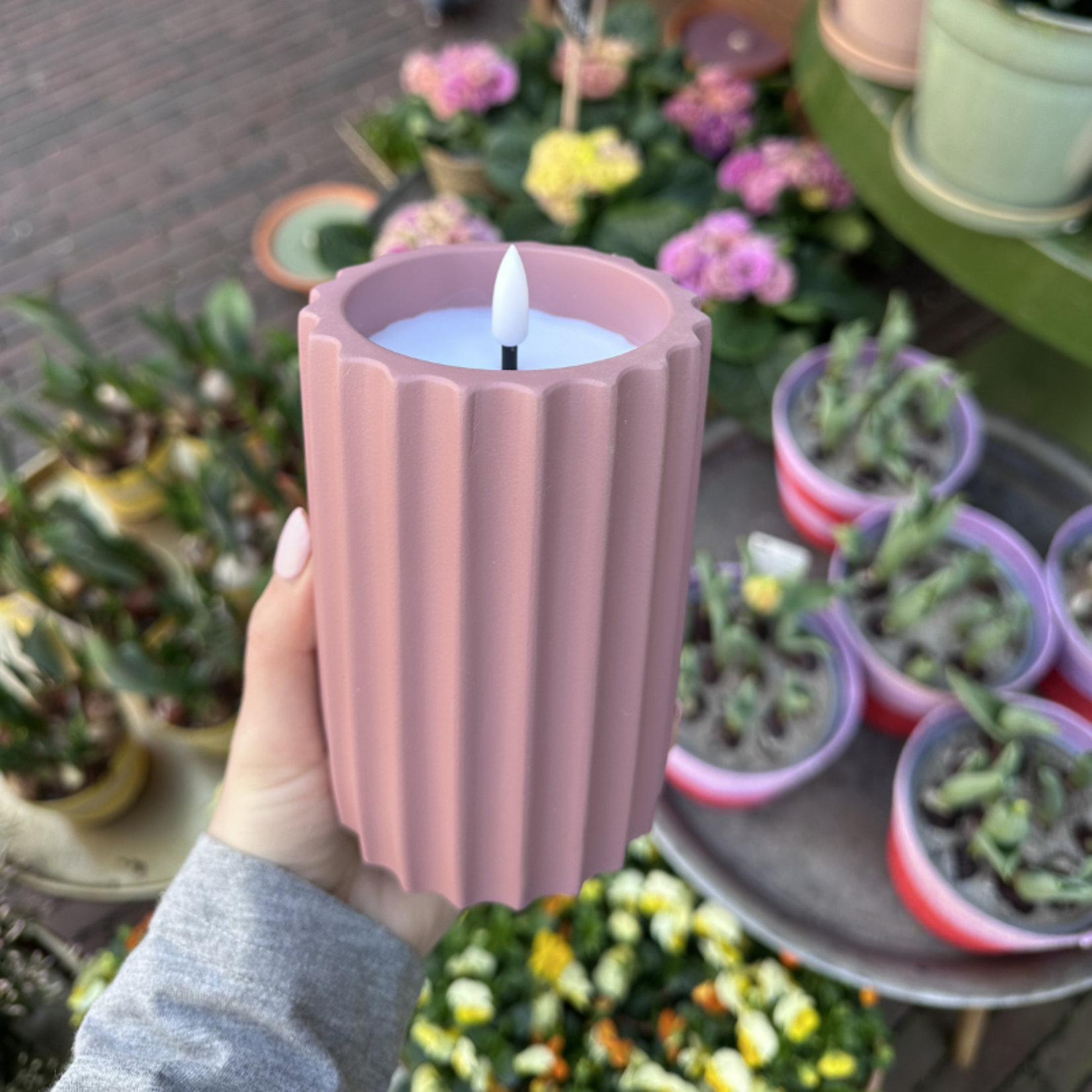 Ledkaars - Oudroze - M