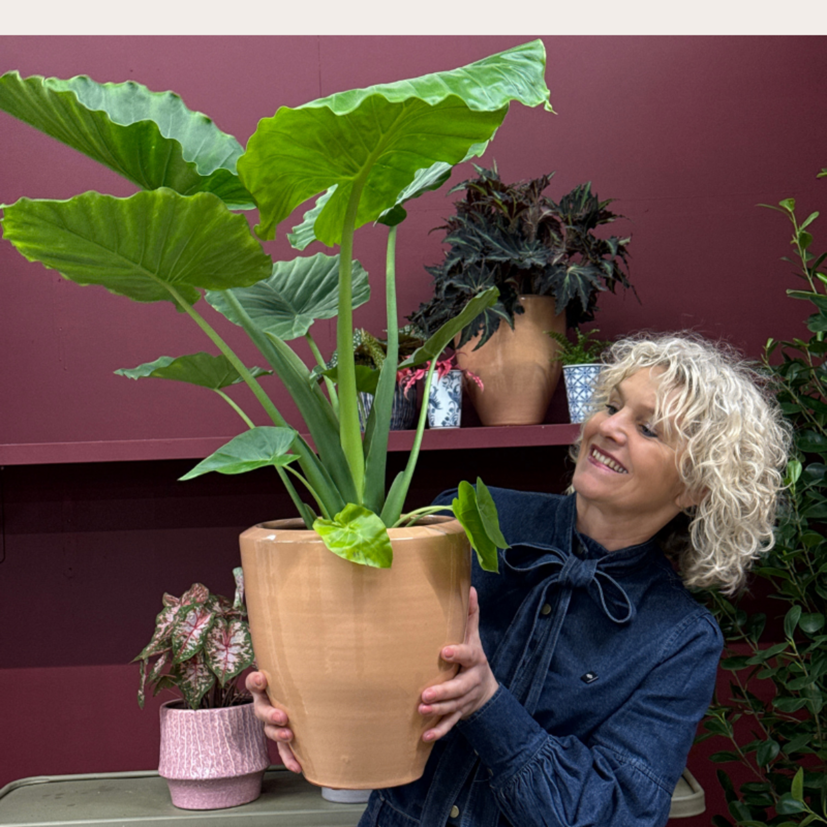 Pot - Earthquake - Zand