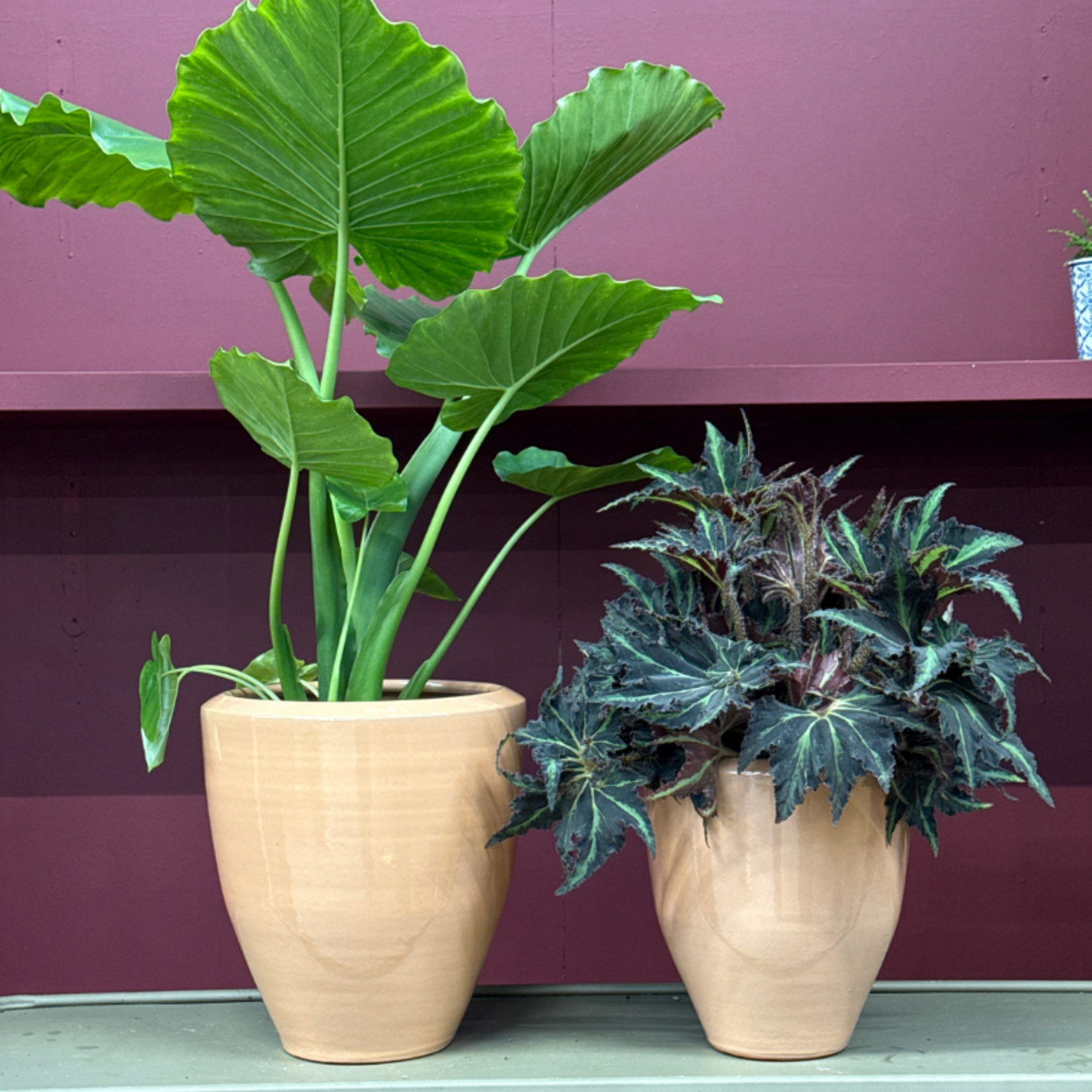 Pot - Earthquake - Zand