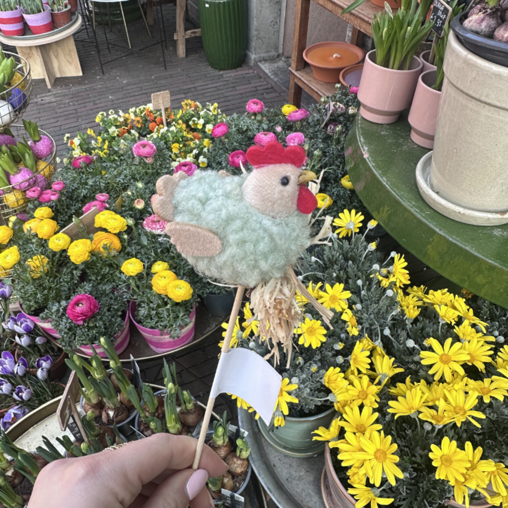 Paasprikker - Kip - Groen