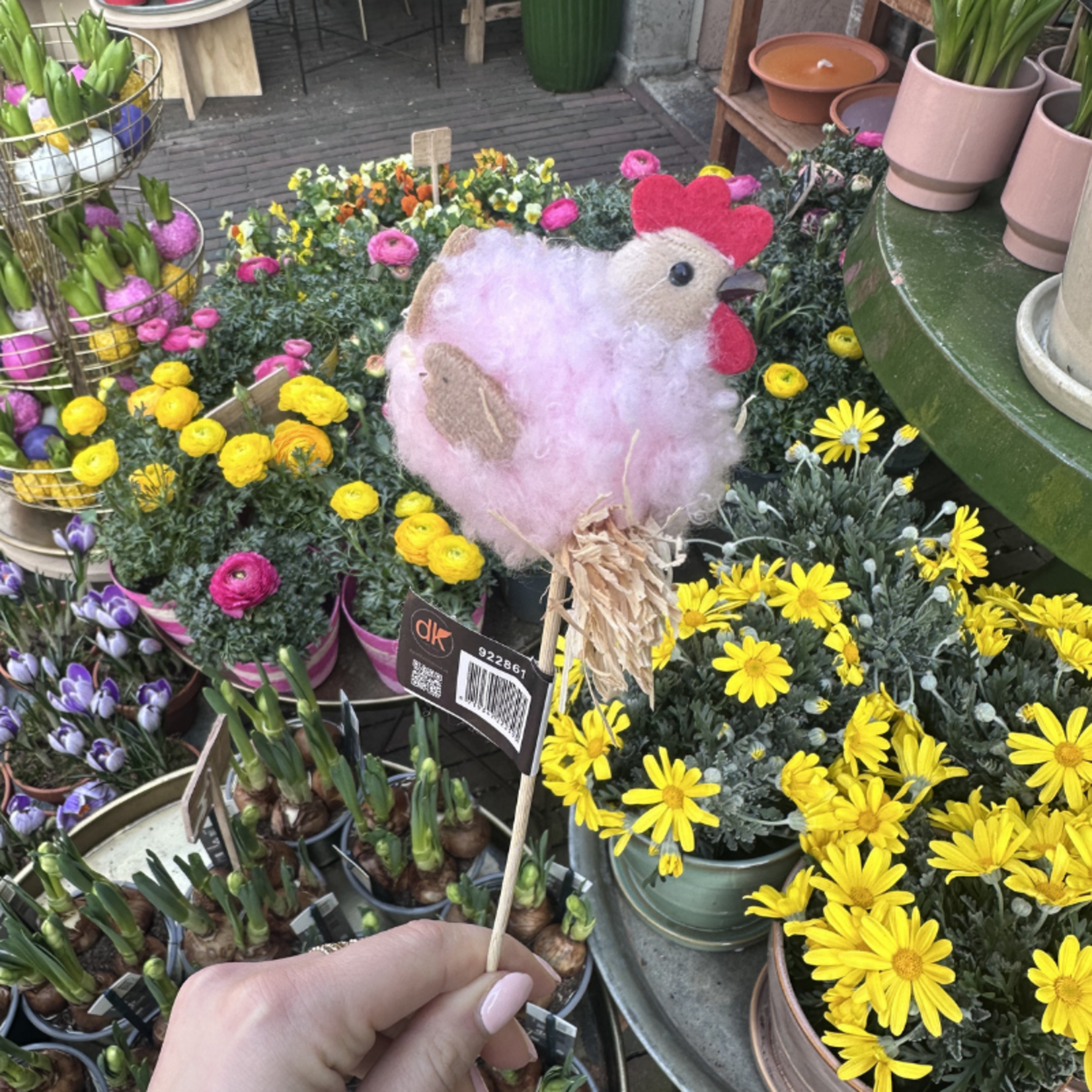 Paasprikker - Kip - Roze