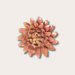 Keramieken bloem - Strawflower - Lichtroze