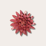 Keramieken bloem - Strawflower - Roze