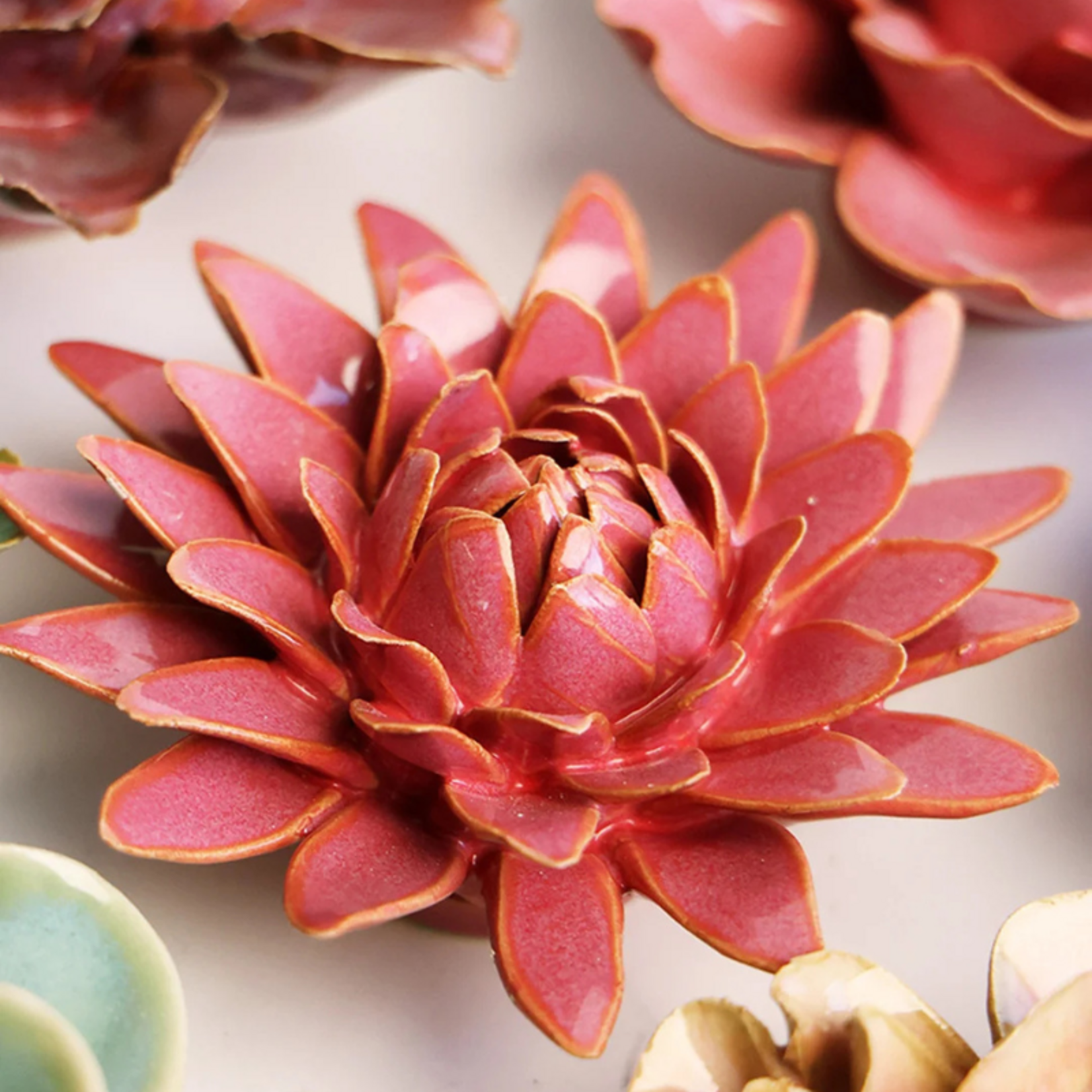 Keramieken bloem - Strawflower - Roze