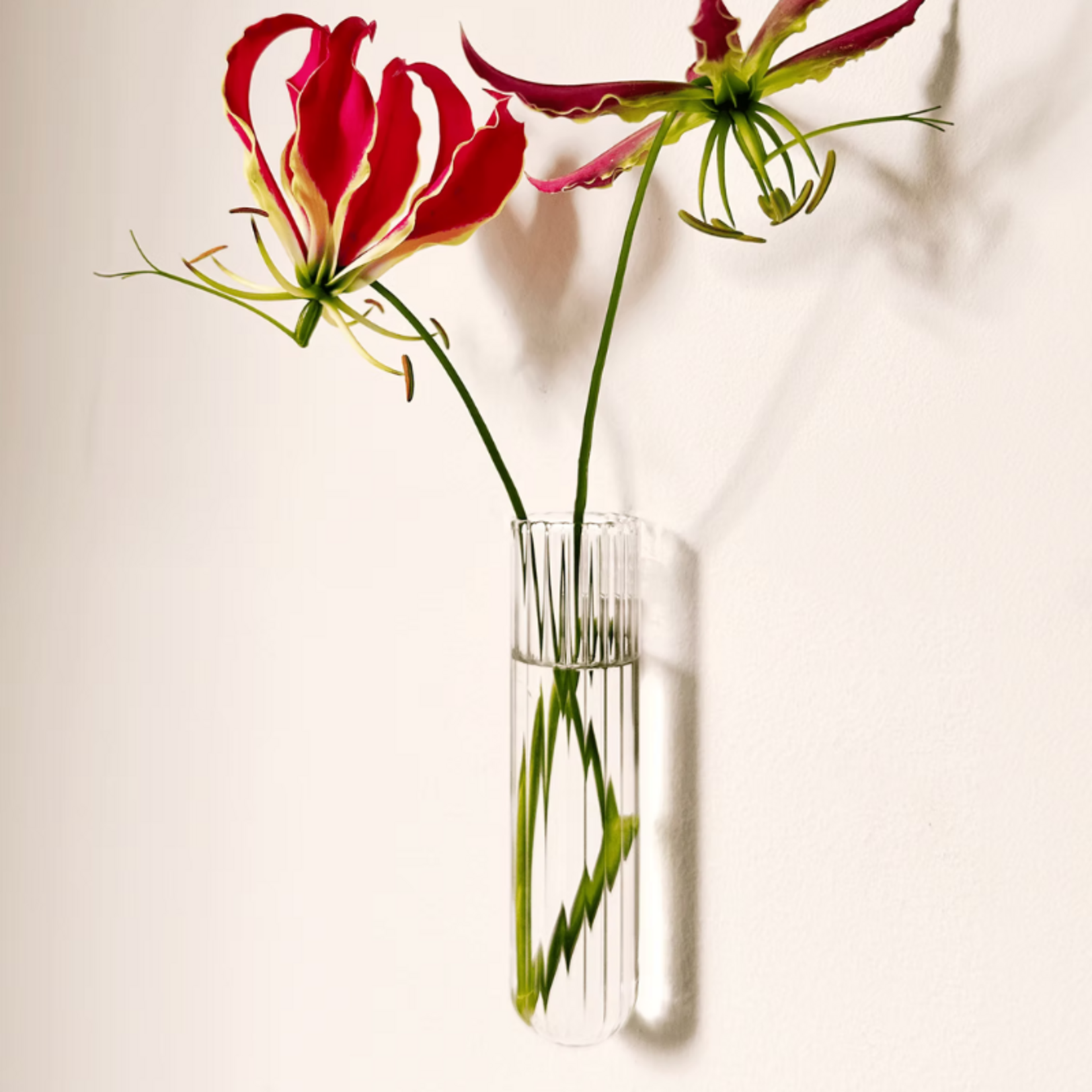 Muurbloempjes 1 planthanger XL - transparant