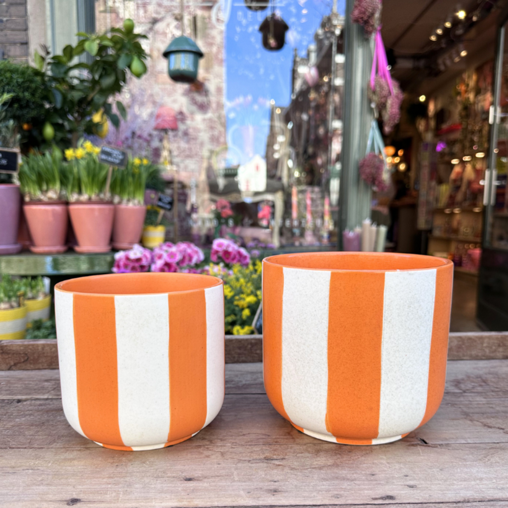 Pot - Bella - Streep - Oranje/wit