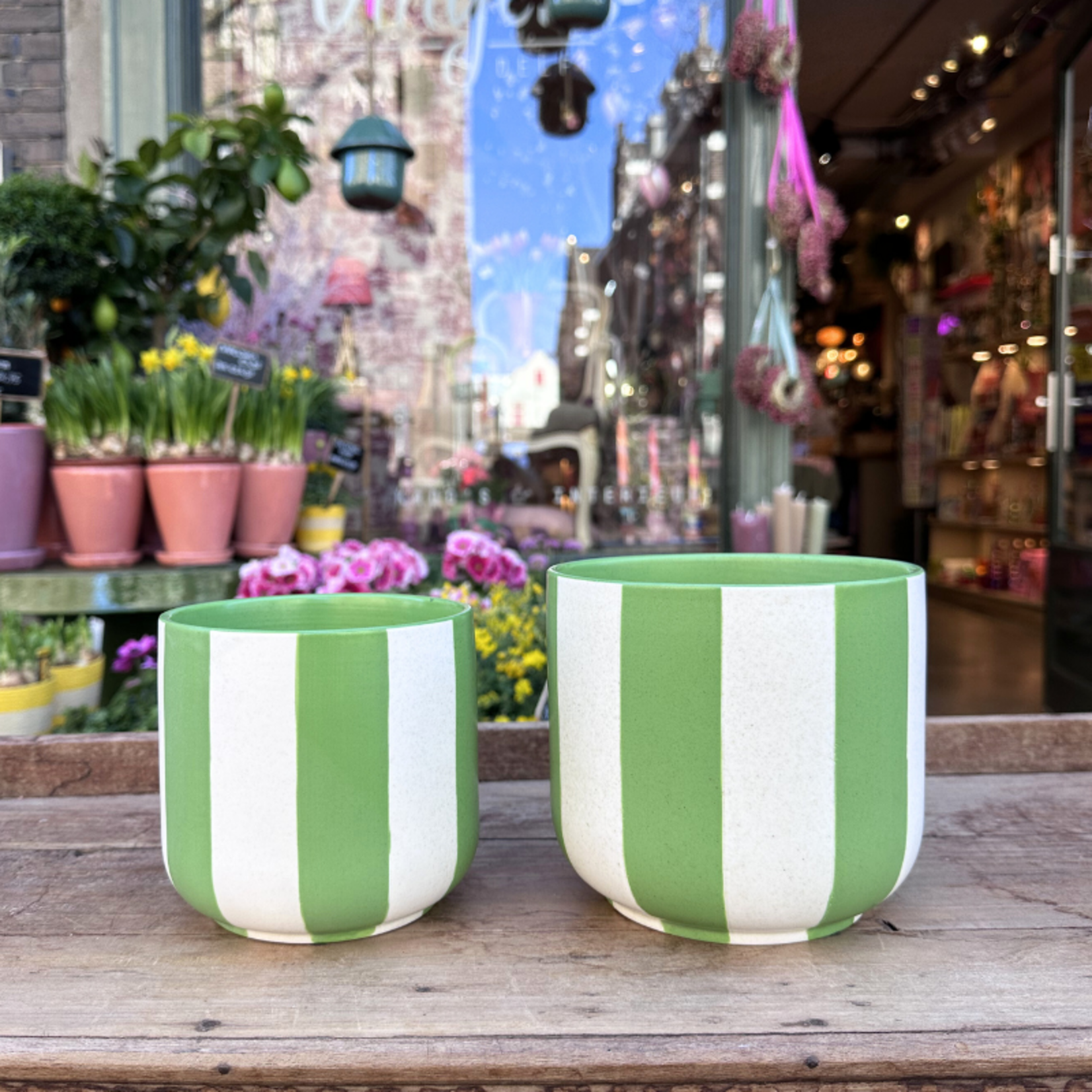 Pot - Bella - Streep - Groen/wit
