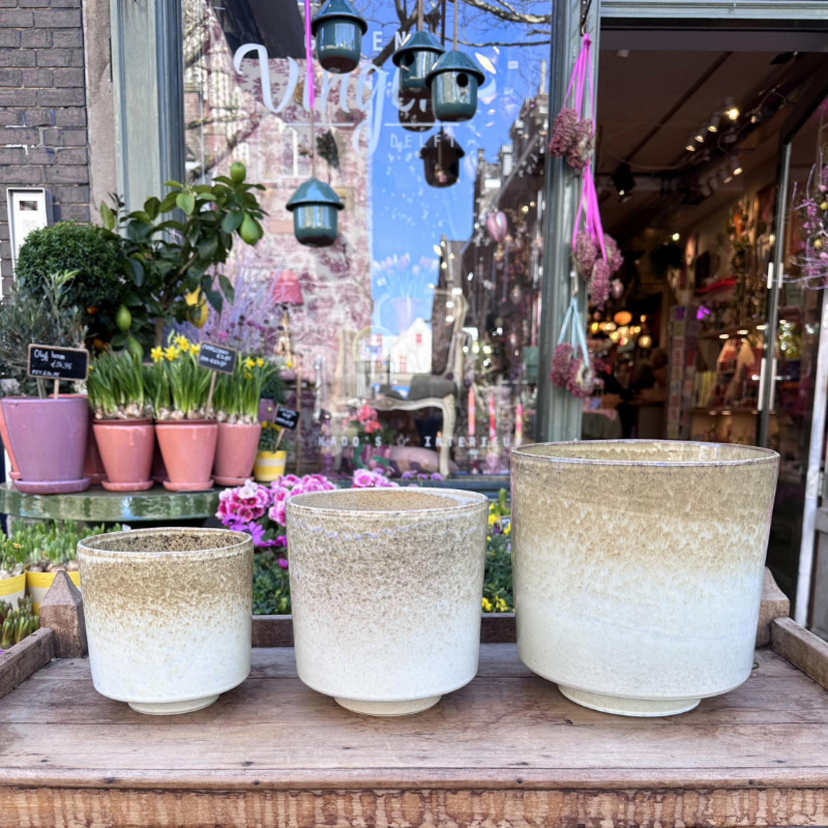 Pot - Zola - Wit/bruin