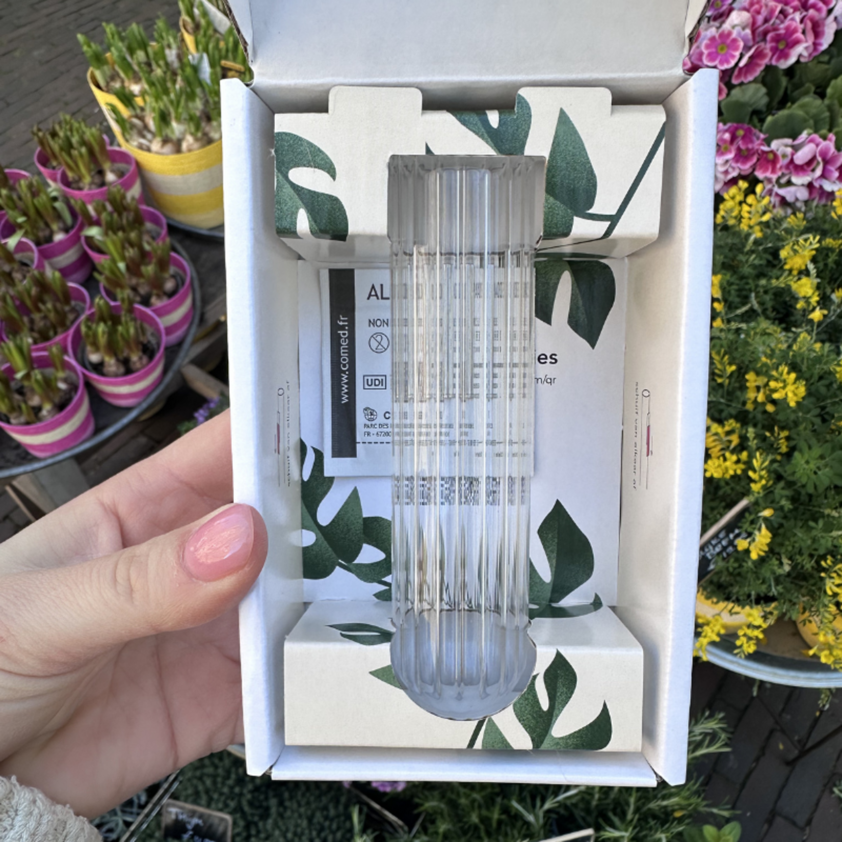 Muurbloempjes 1 planthanger XL - transparant