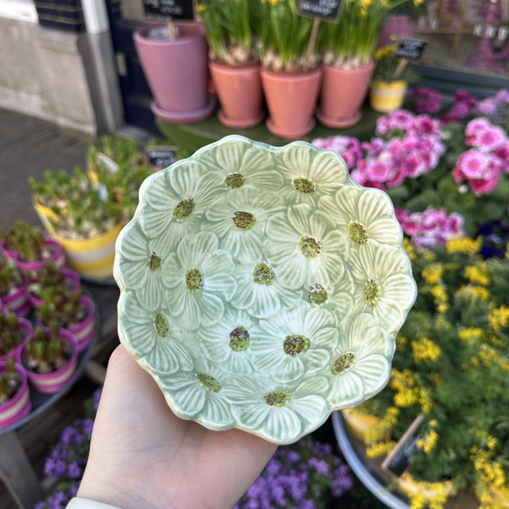 Schaaltje - Bloem - Groen