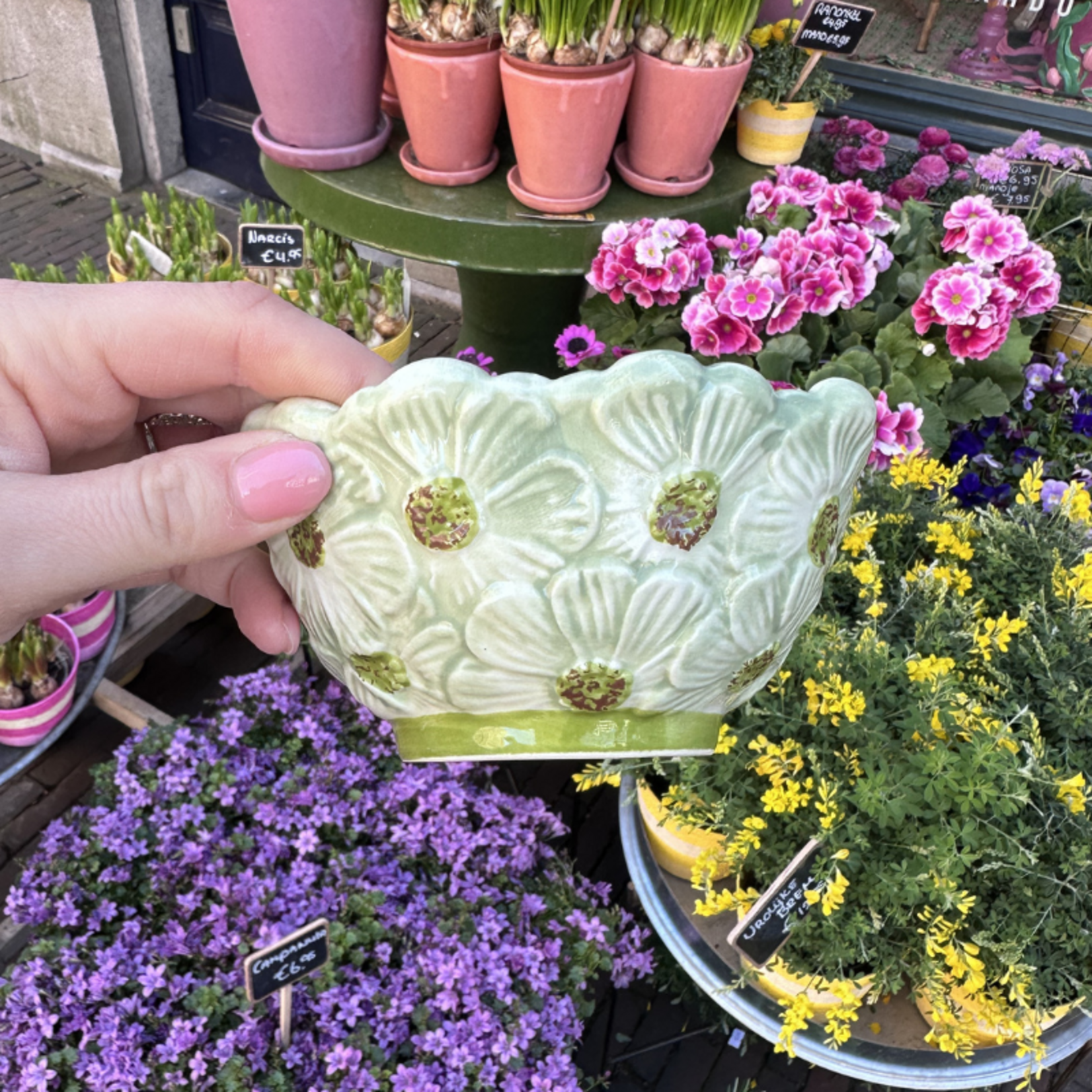 Schaaltje - Bloem - Groen