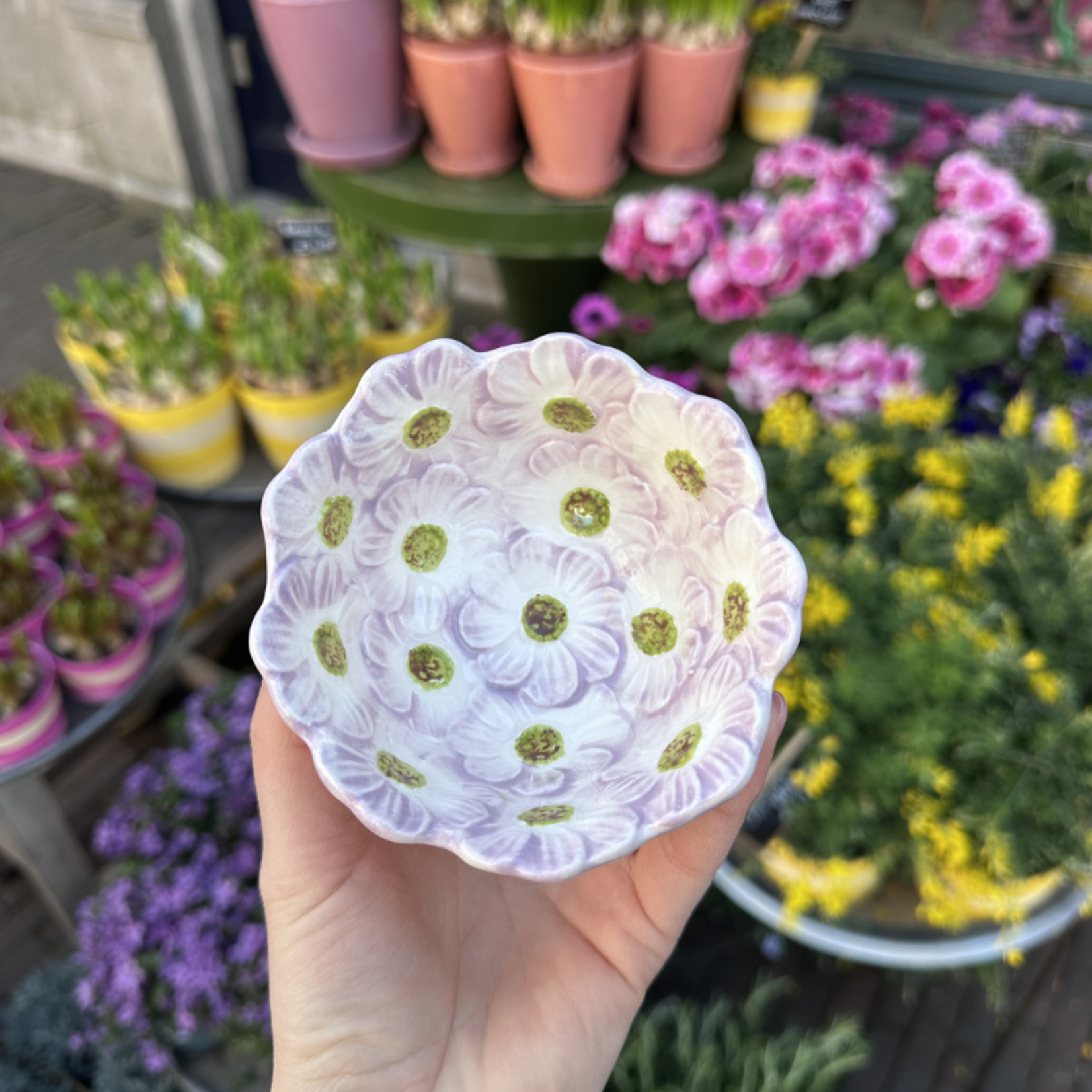 Schaaltje - Bloem - Lila