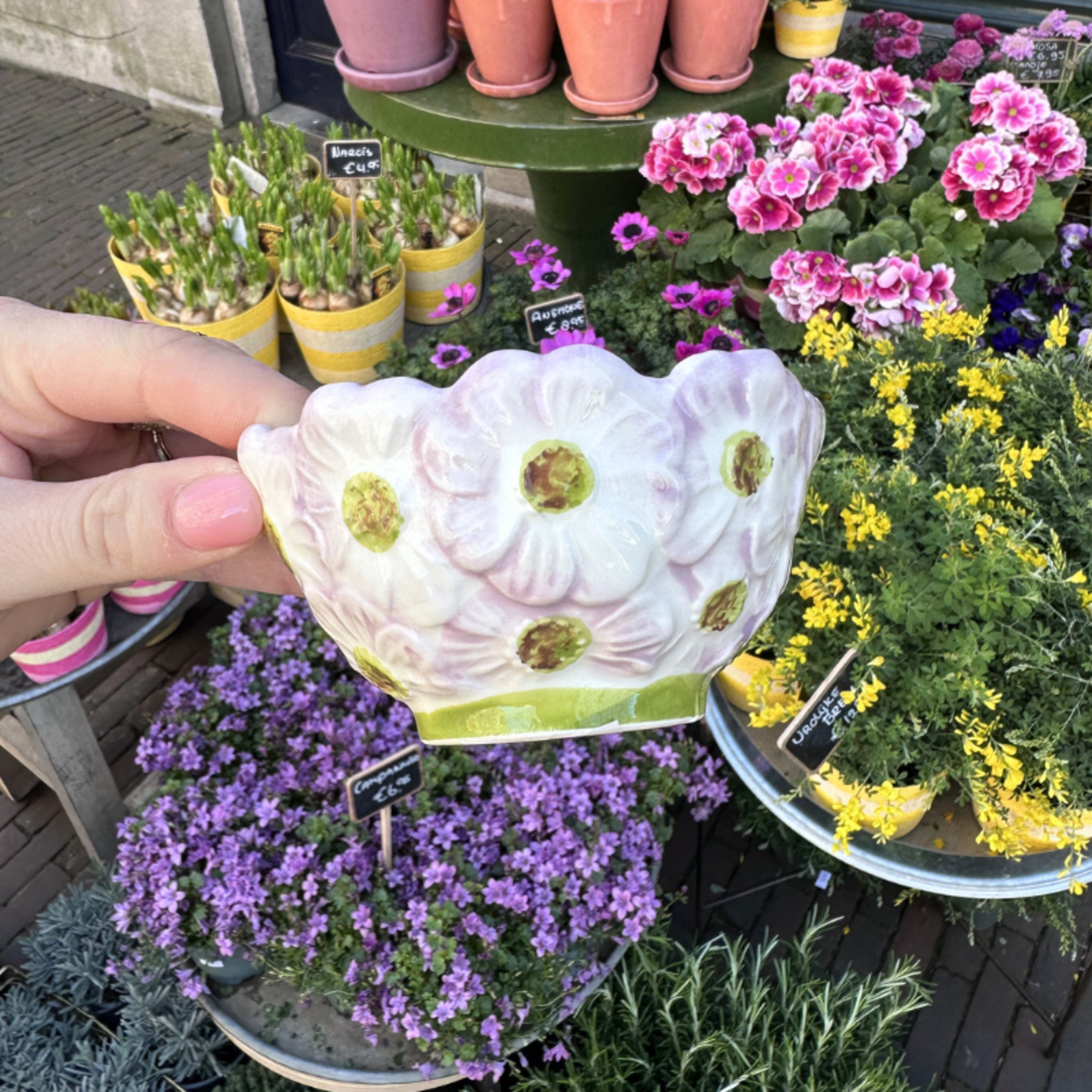 Schaaltje - Bloem - Lila