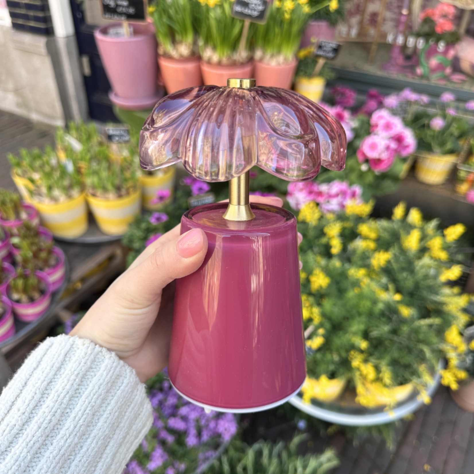 Lamp - Lily - Cherry