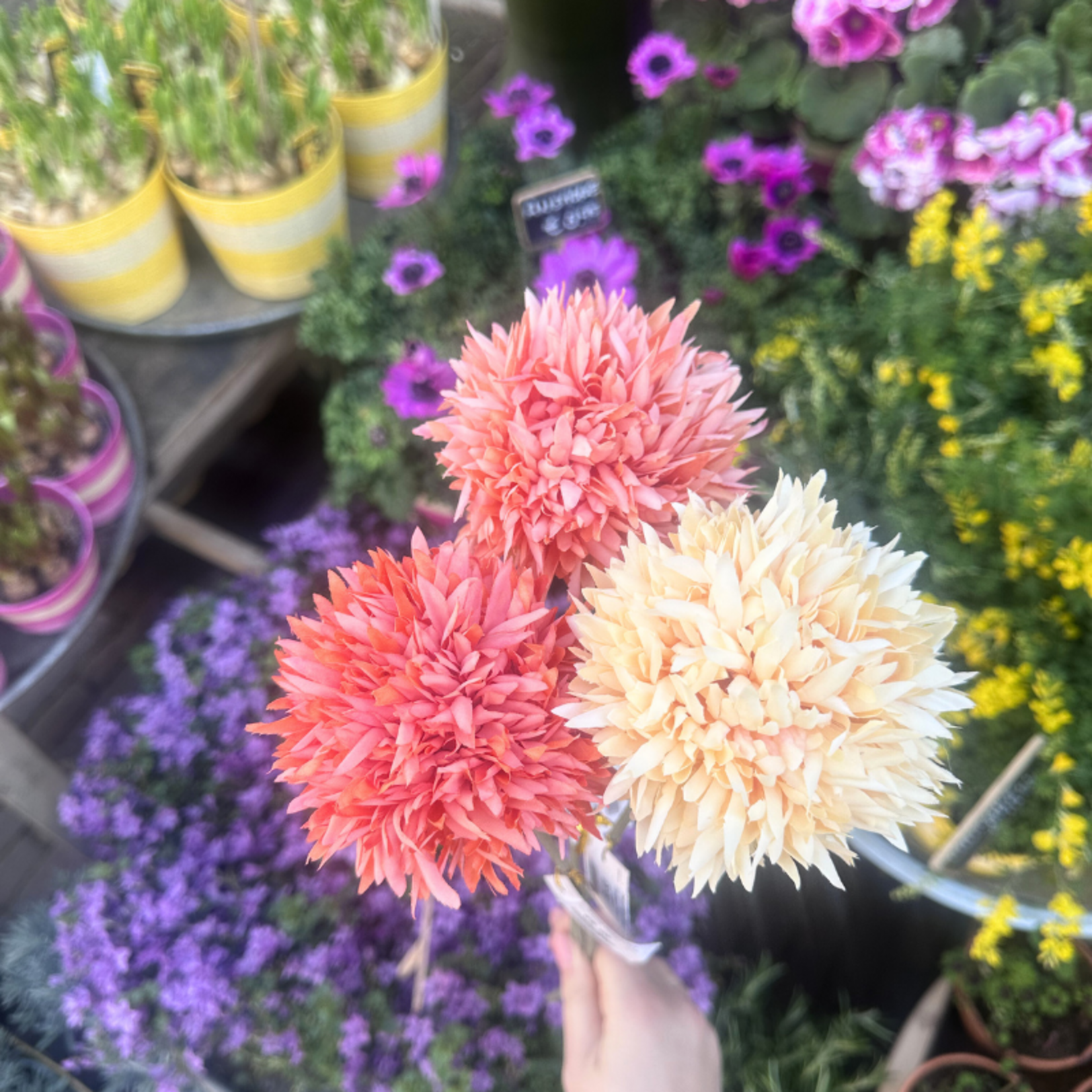 Zijden bloem - Pompon - Koraal