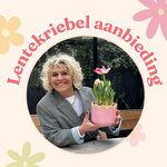 Lenteweek aanbieding - Tulpen in ruffle pot