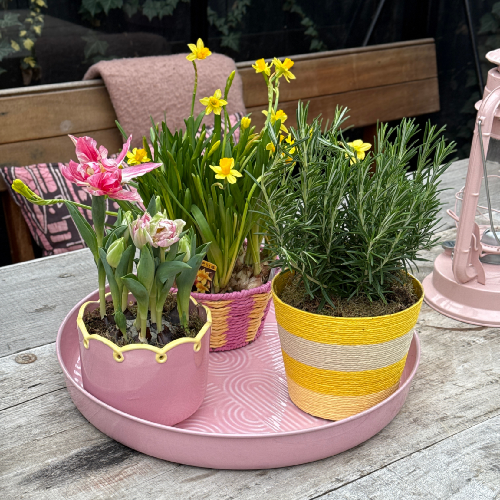 Lenteweek aanbieding - Tulpen in ruffle pot