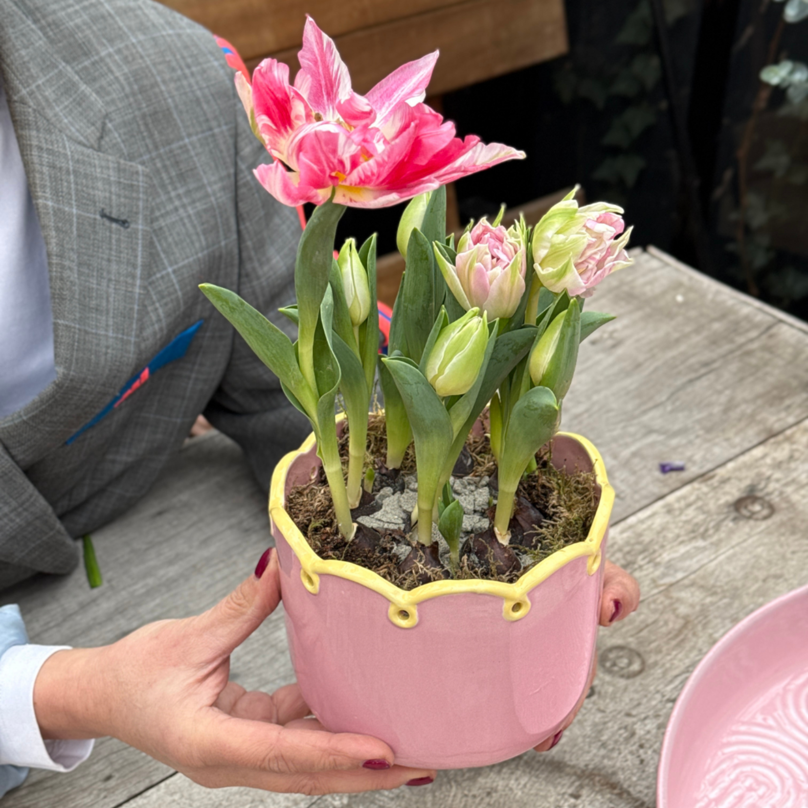 Lenteweek aanbieding - Tulpen in ruffle pot