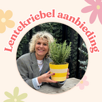 Lenteweek aanbieding - Rozemarijn in mand