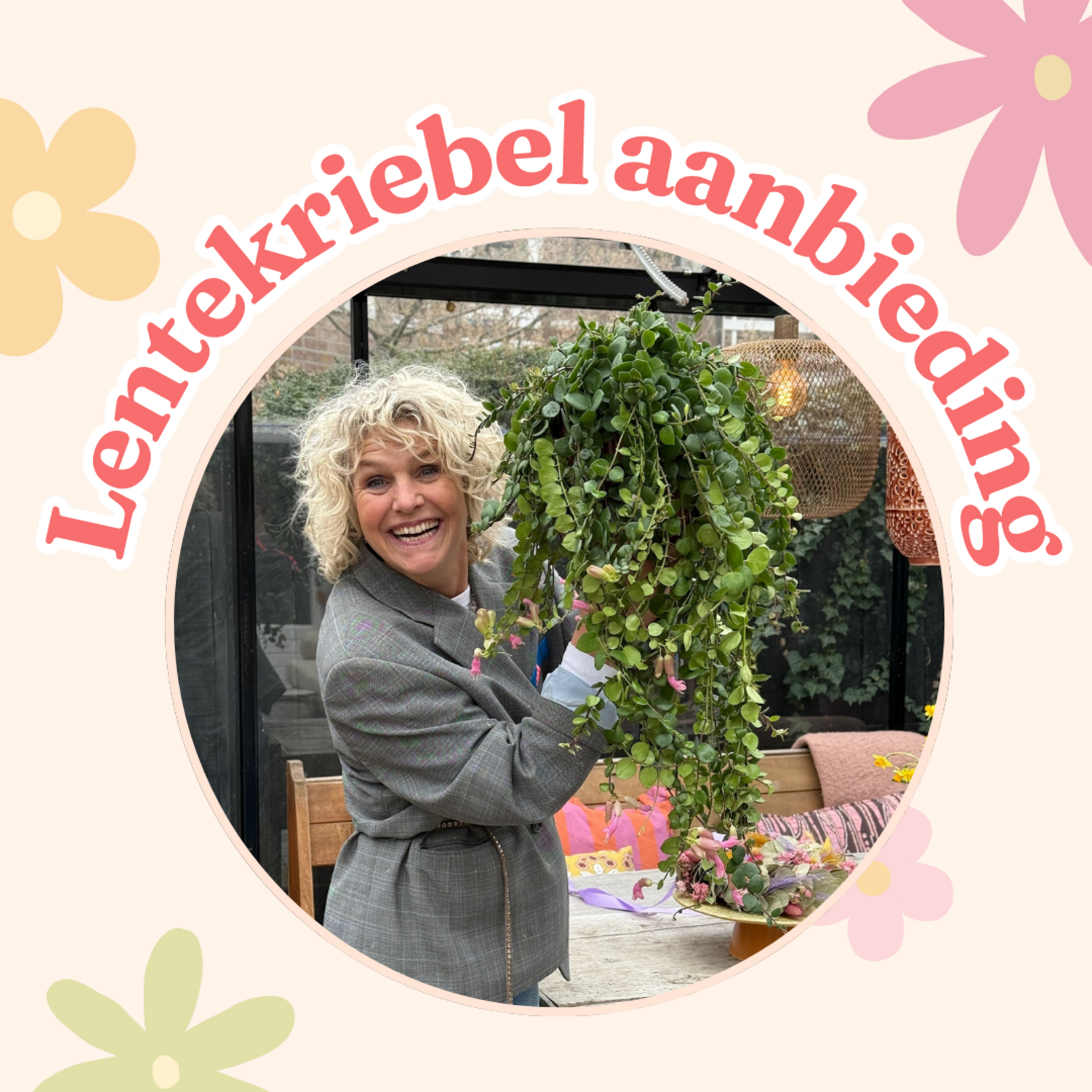 Lenteweek aanbieding - Aeschynanthus (Lipstickplant)