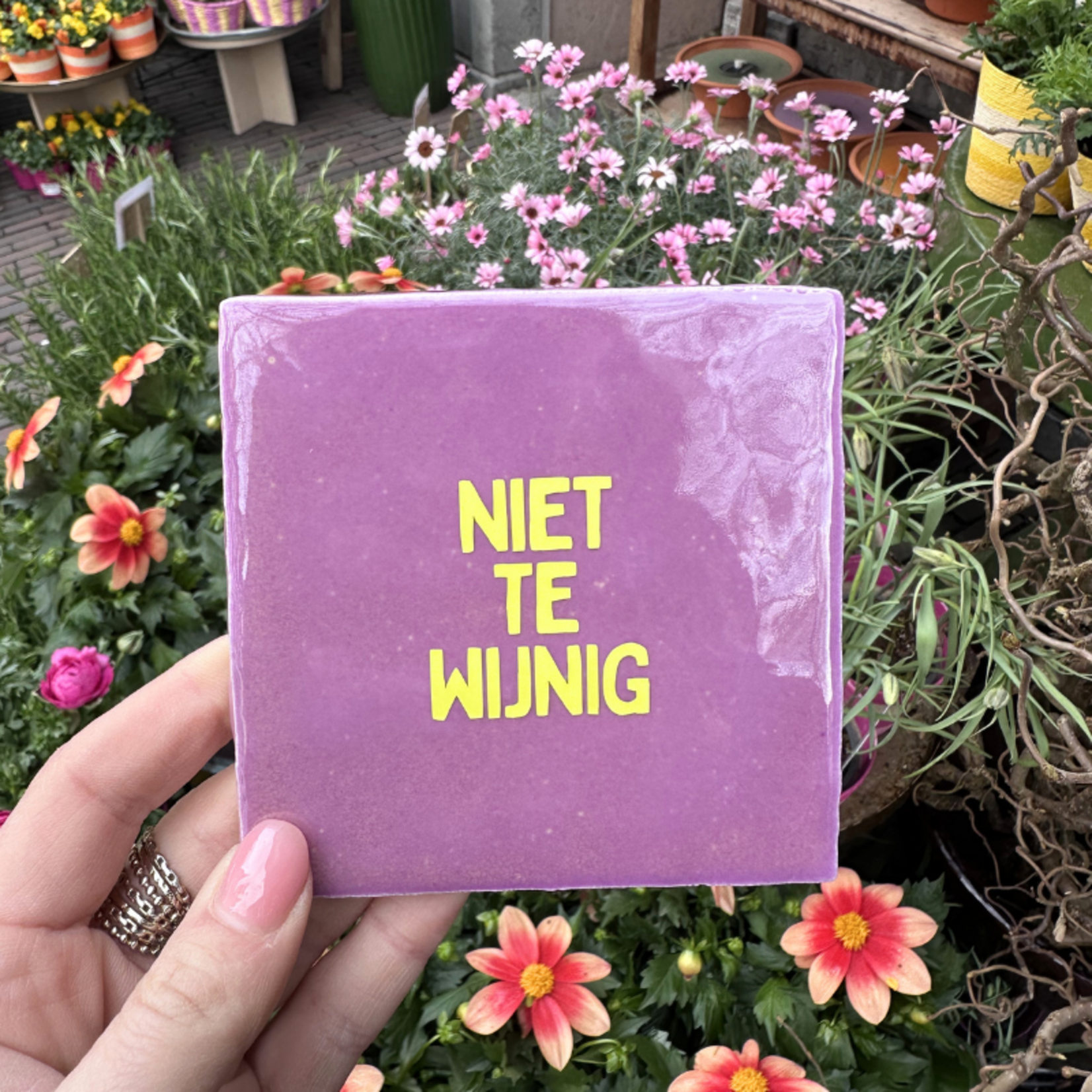 Tegeltje - Niet te wijnig - paars/geel