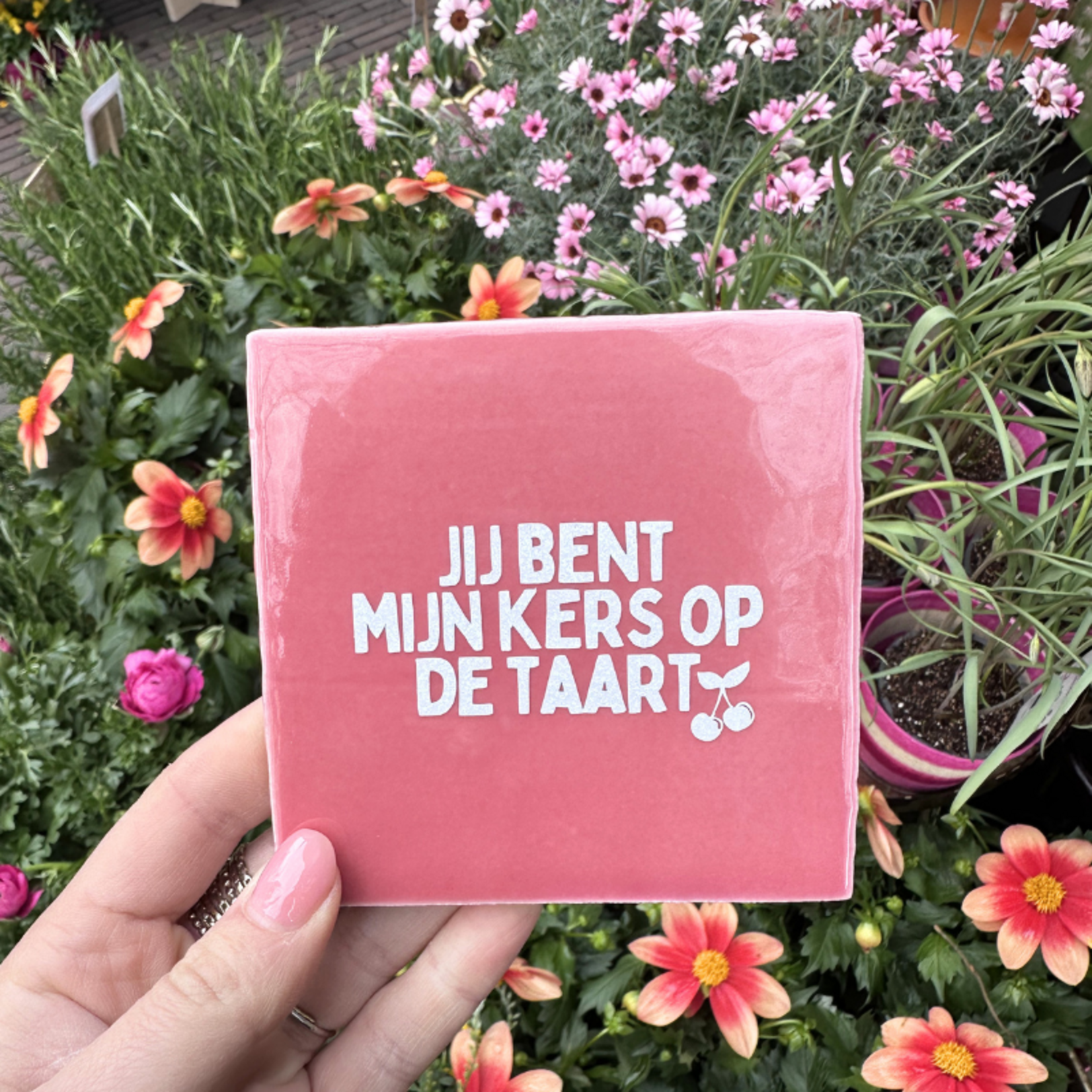 Tegeltje - Jij bent mijn kers op de taart - roze/wit