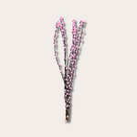 Bosje - Katjes tak - Roze