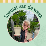 Groene Vingers Special van de week