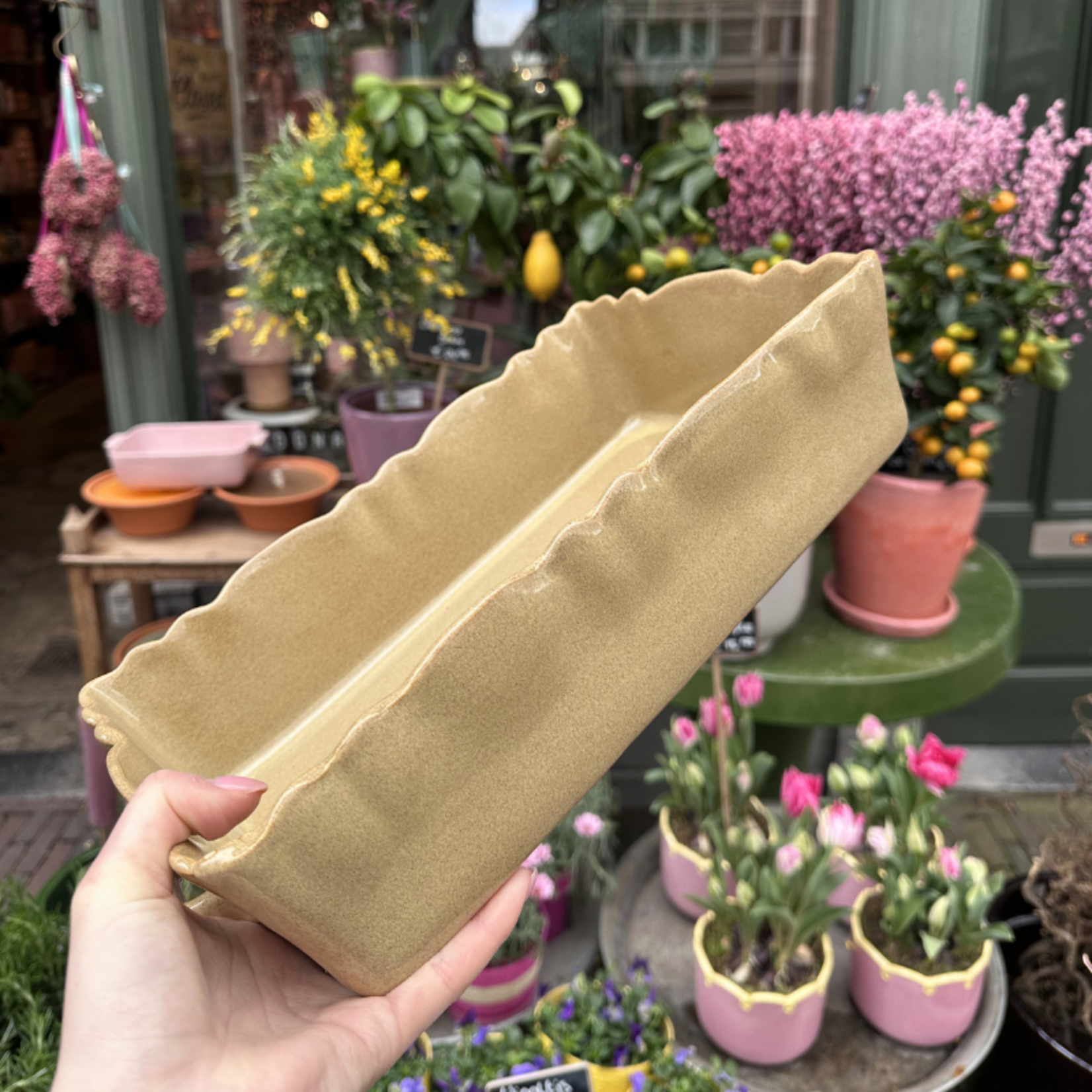 Ovenschaal Moris - CafeauLait - M