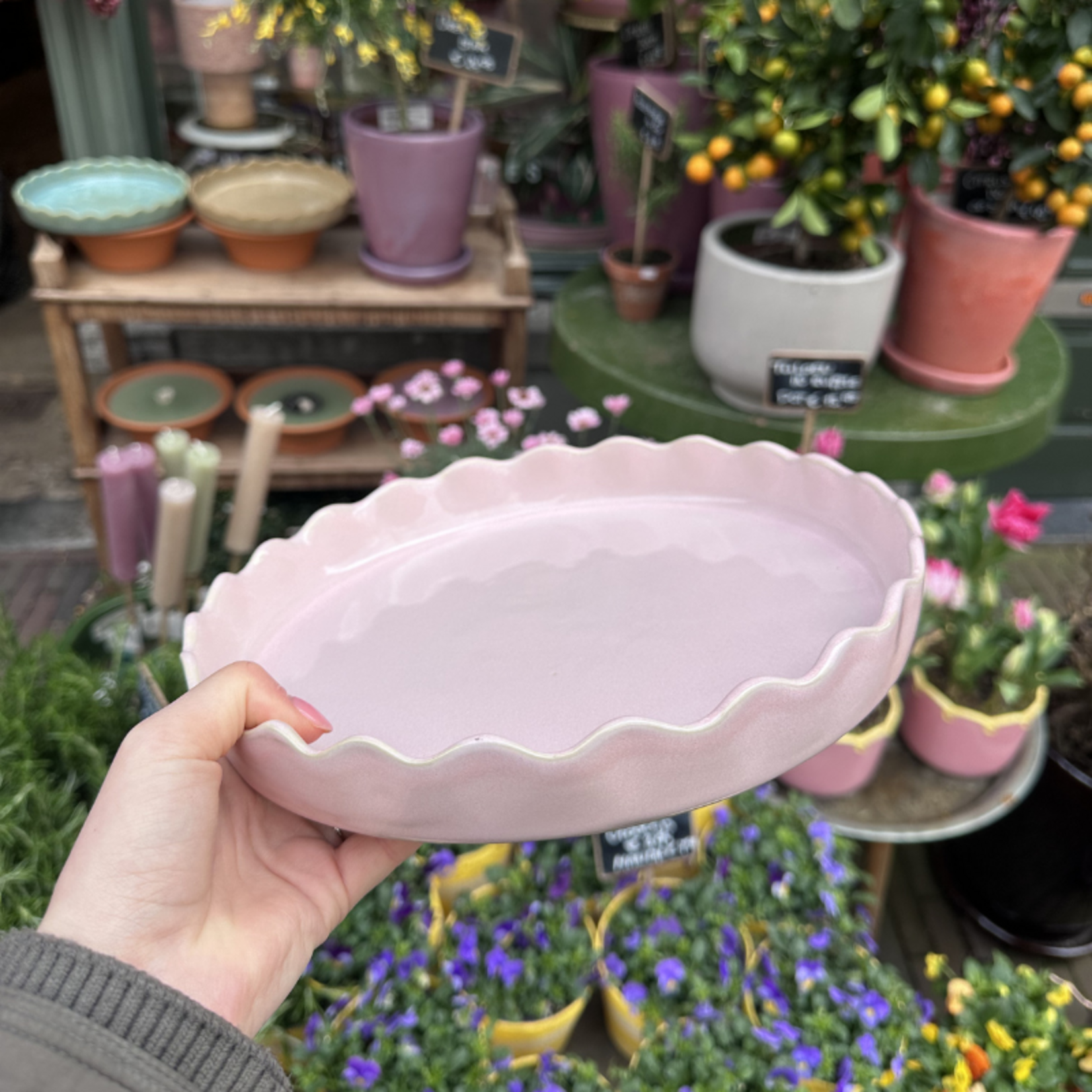 Taartschaal Moris - Rosé Fondant - S