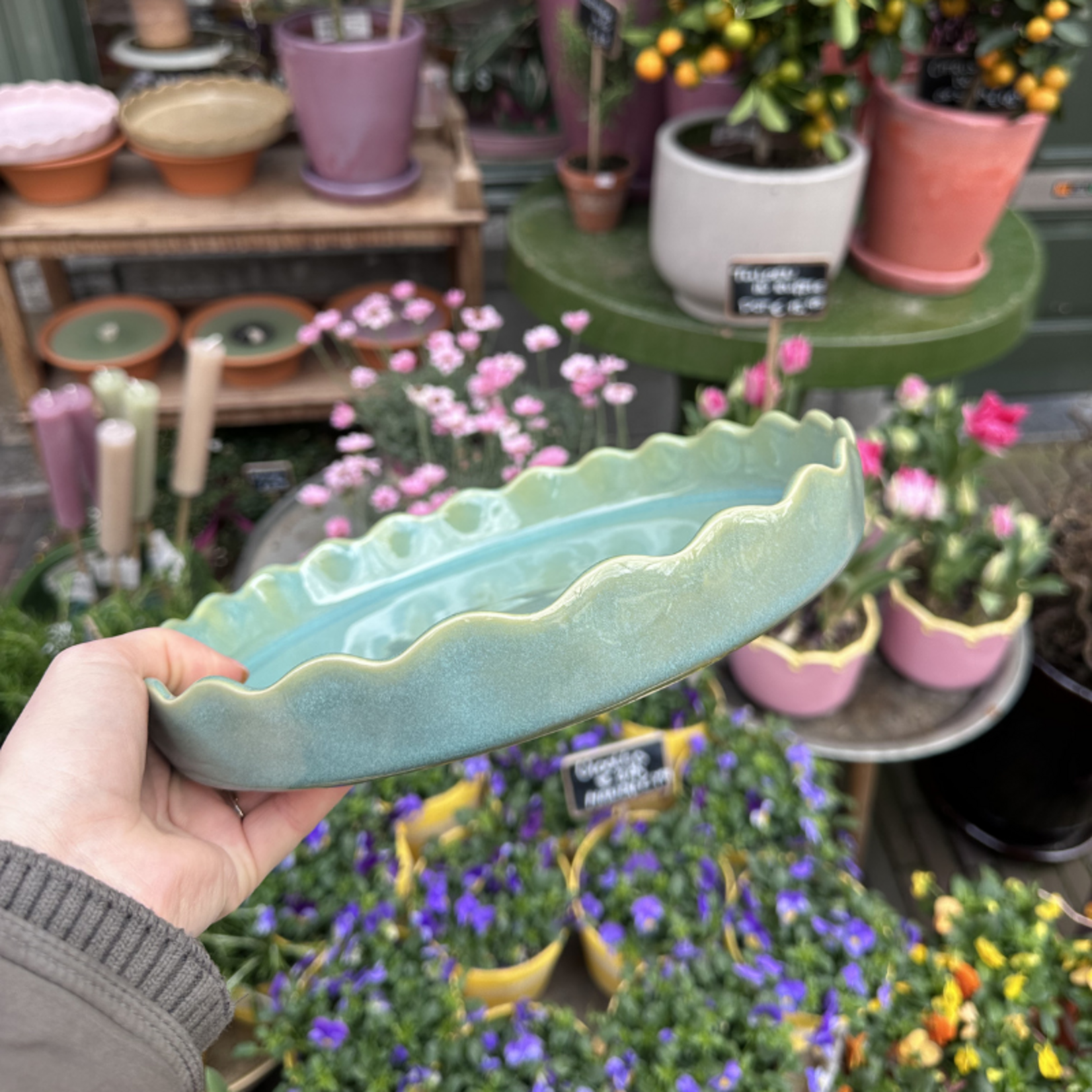 Taartschaal Moris - Emeraude Bleue - S